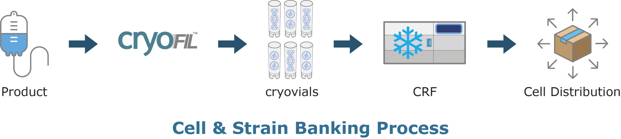 CS_banking_process