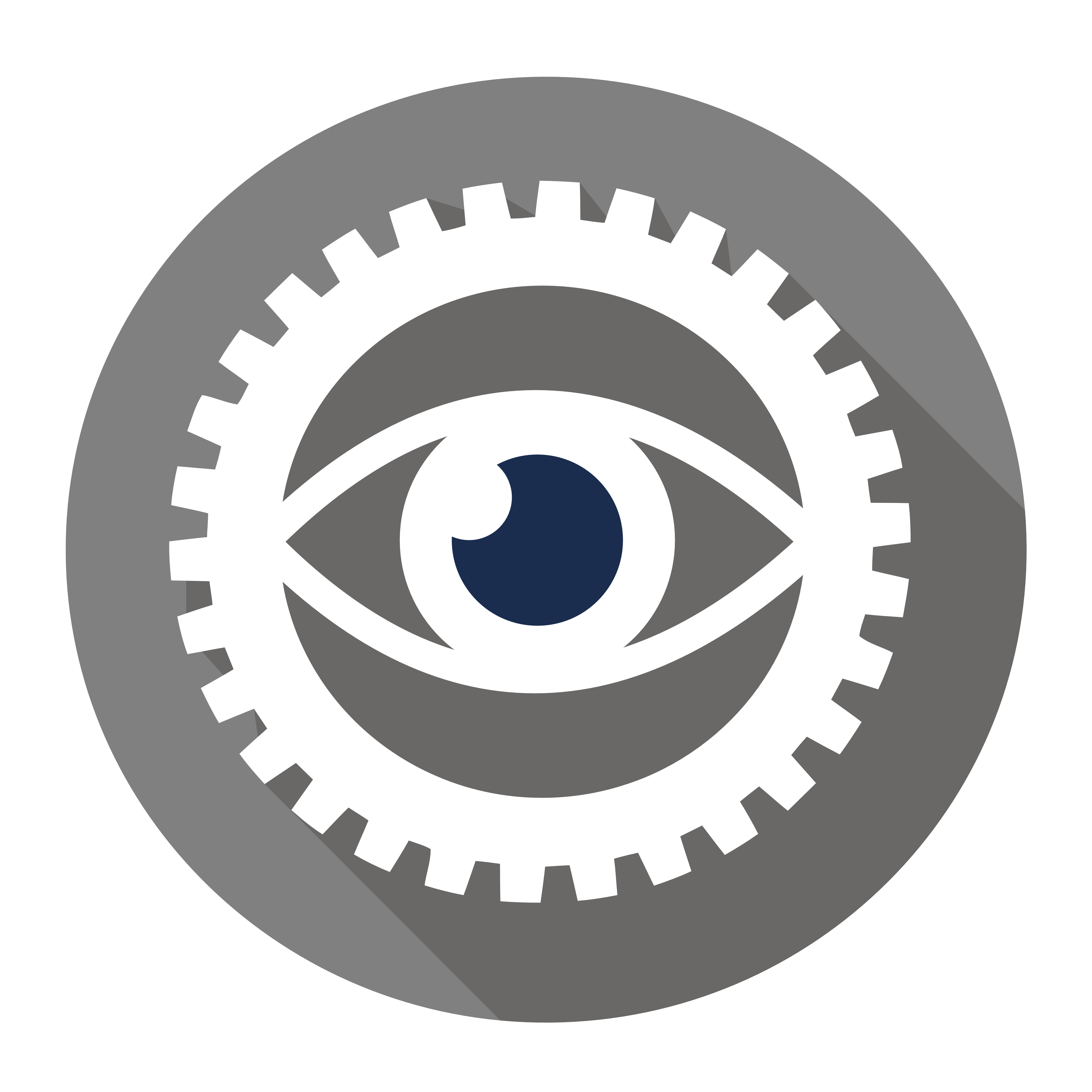 vision icon